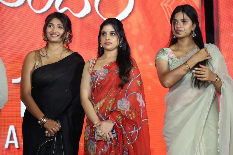 Brahmanandam Movie Pre Release (116)