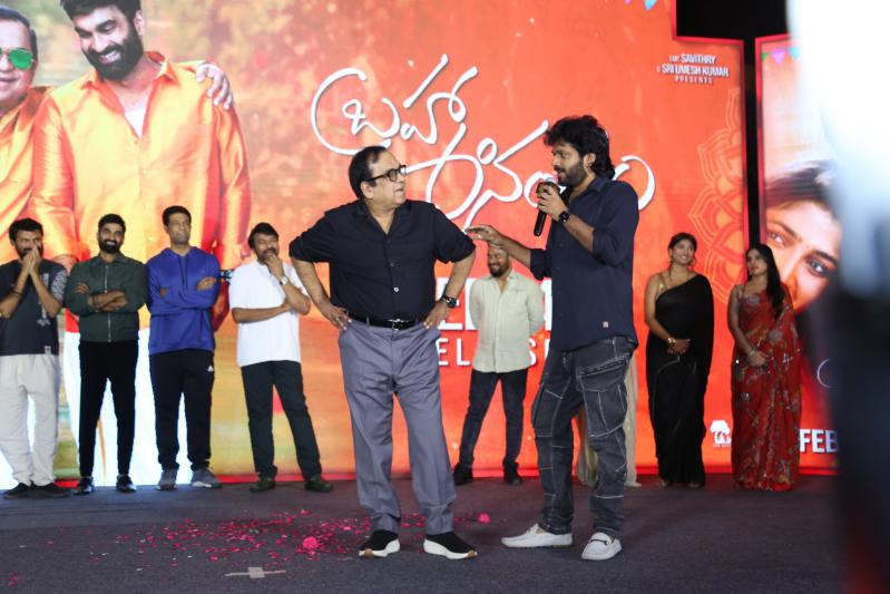 Brahmanandam Movie Pre Release (173)