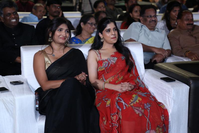 Brahmanandam Movie Pre Release (95)