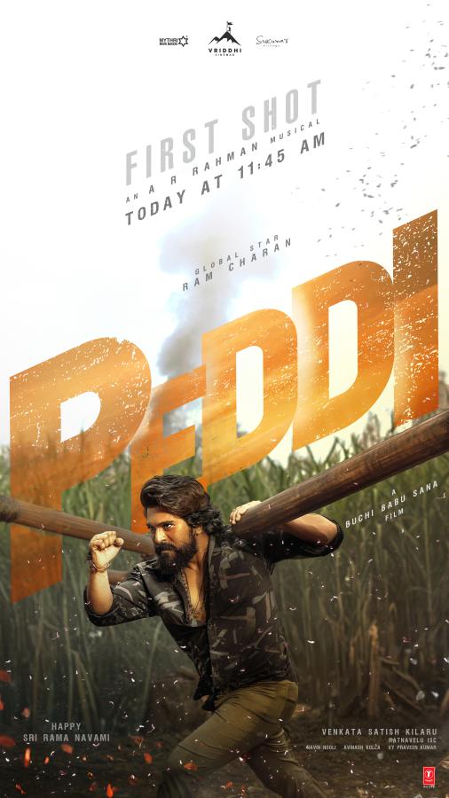 PEDDI_STORY copy