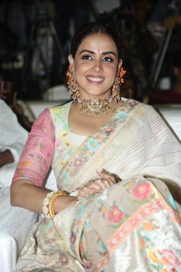 Genelia (20)