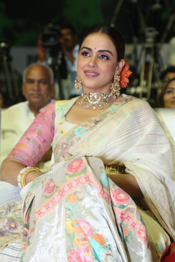 Genelia (6)