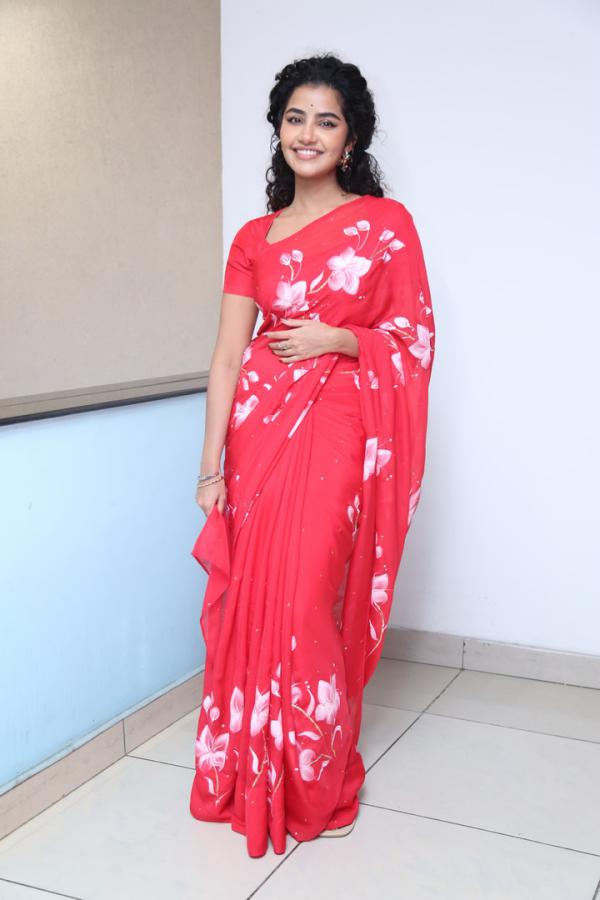 Anupama Parameswaran (29)