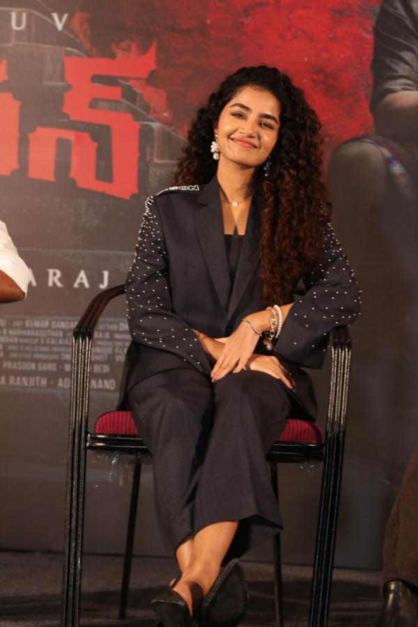 Anupama Parameswaran (43)