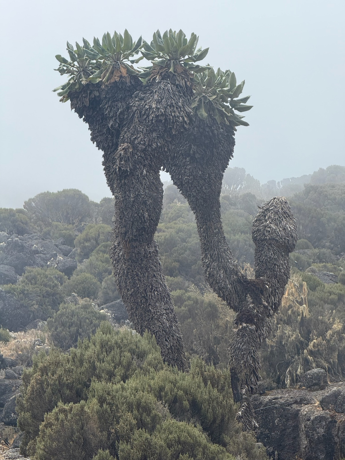 WhatsApp Image 2025-10-29 at 06.58.04