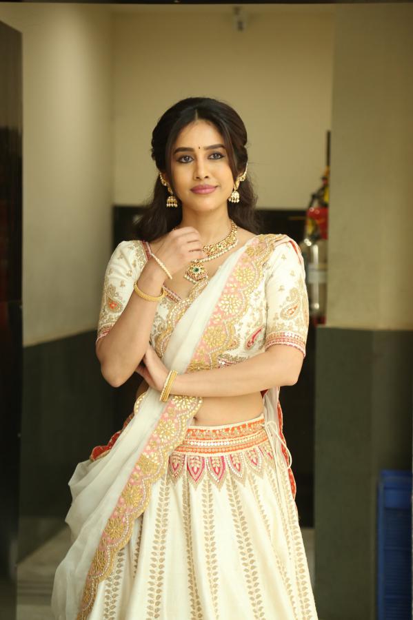 Nabha Natesh (19)