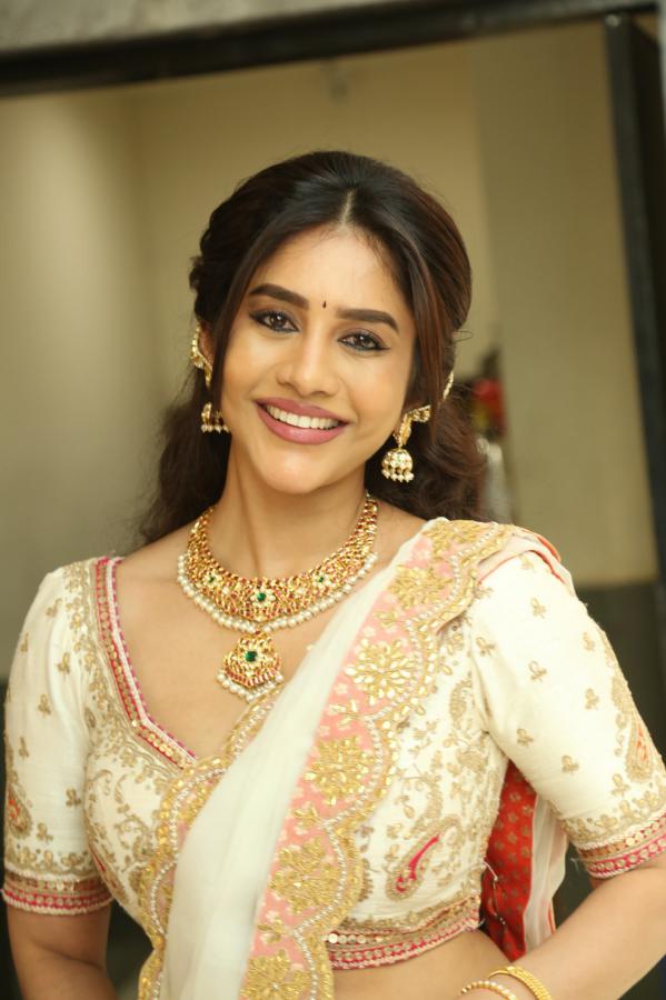 Nabha Natesh (81)