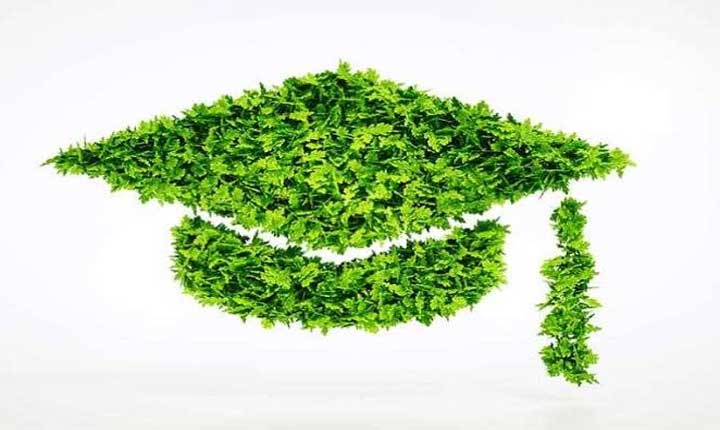 A Multidisciplinary Approach To Green Education
