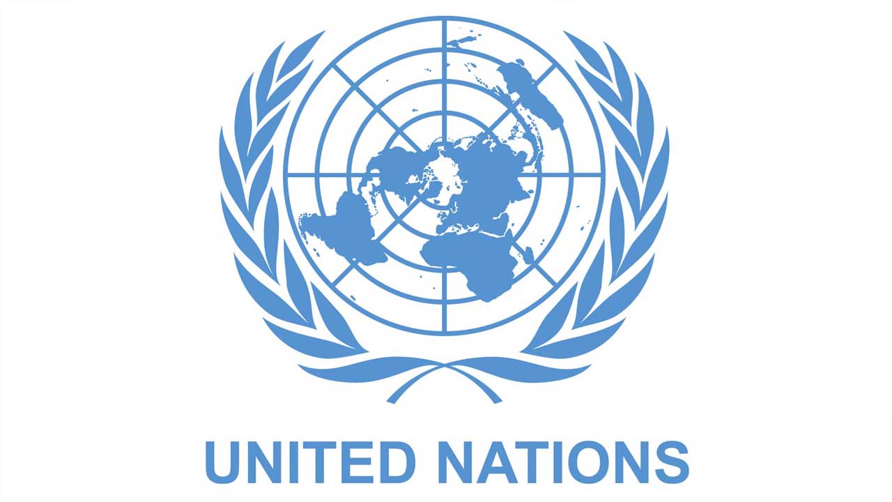 Growing Death Toll In Ice Custody Draws Un Scrutiny 