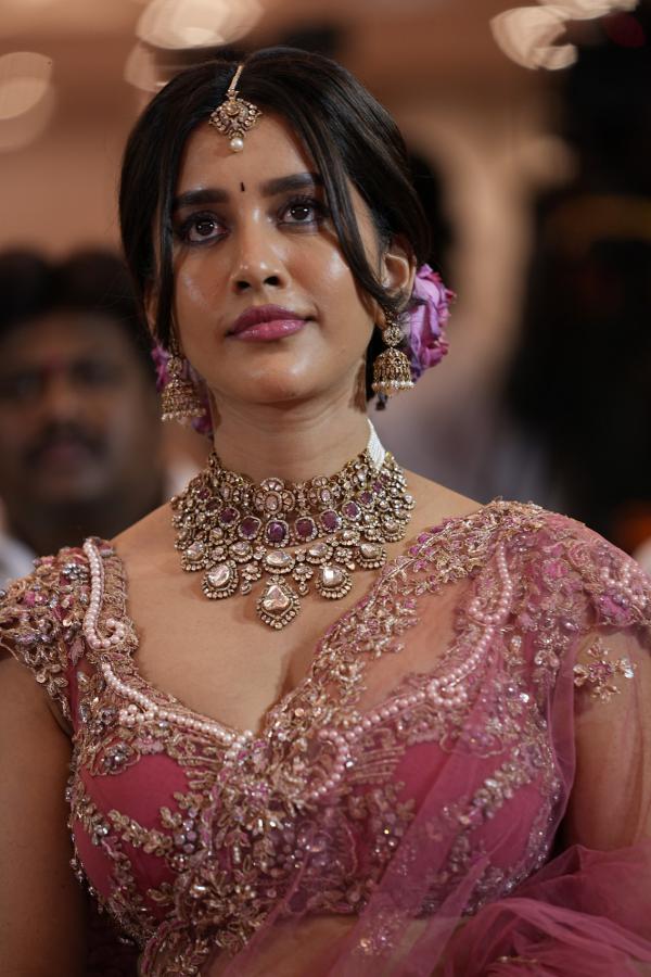 Nabha Natesh (3)