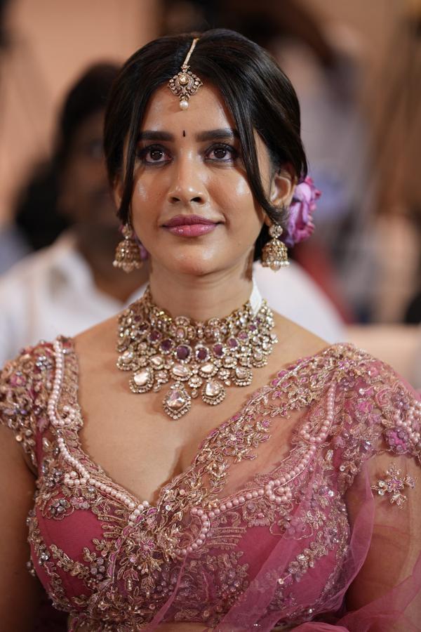 Nabha Natesh (45)