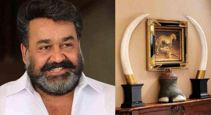 Mohanlal Ivory Case: Fresh Court Development Puts Spotlight on Final Verdict Mohanlal Ivory Case Fresh Court Development Puts Spotlight On Final Verdict