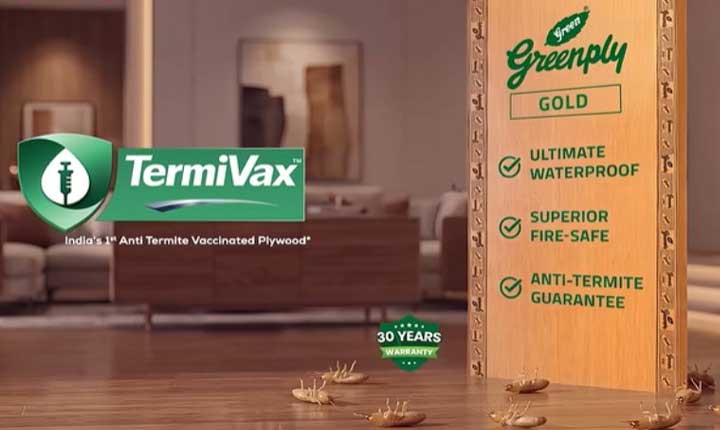 Greenply Launches Termivax Indias First Anti Termite Vaccinated Plywood Technology 