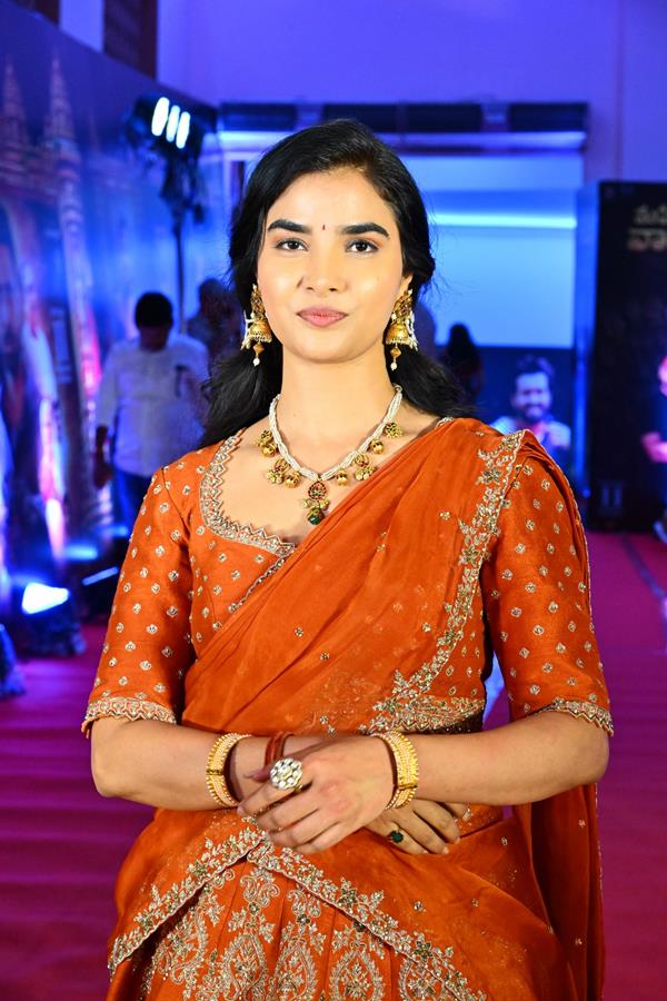 Meenakshi Goswami (55) (Copy)