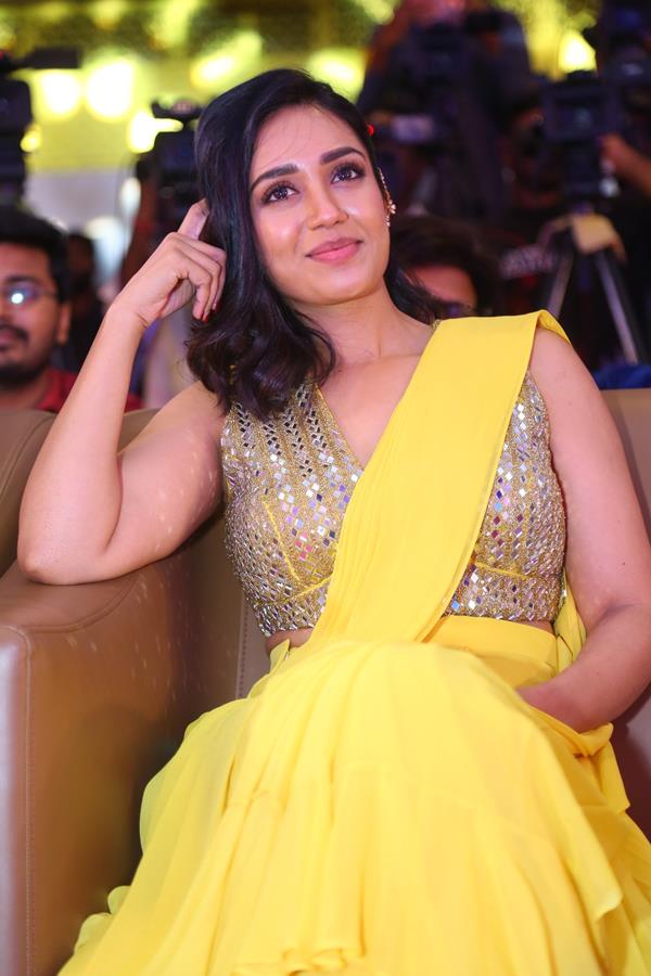 Nivetha Pethuraj (56) (Copy)