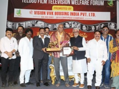 Icons of Indian Film Industry Awards