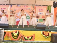 India Day Celebrations in Irving