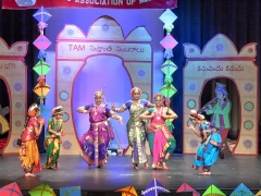TAM Sankranti Celebrations 2017