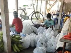 TANA Distributed Vegetables in Vij 13 May 2020