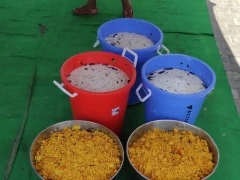 TANA Donates Food in Dharna Chowk Vij 13 May 2020