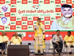 Chandrababu participated in TDP State Level Workshop