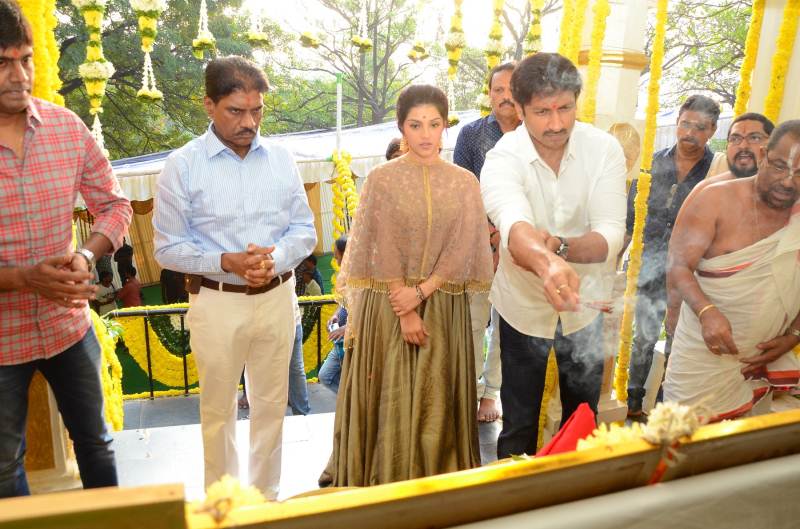 Gopichand 25th Film Opening