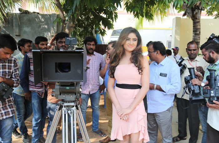 MazinMovieMakers11.jpg