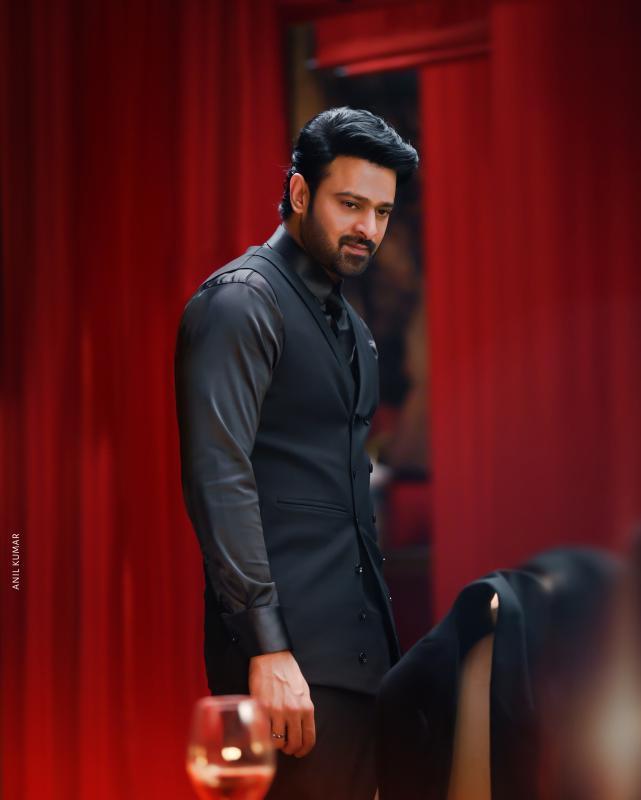 PLAIN-ANIL.jpg