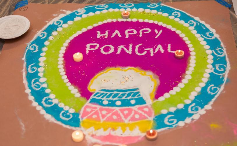 Sankranti_2019_10.jpg