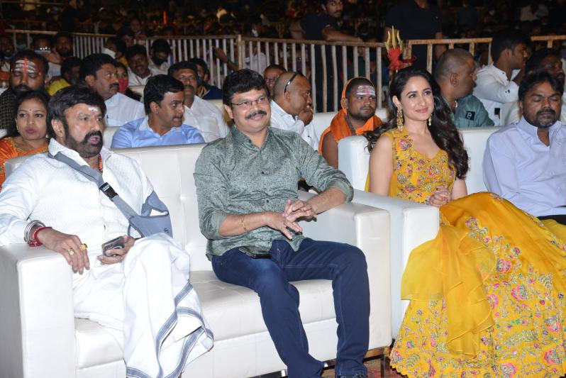 akhanda-movie-success-part-2-17.jpg