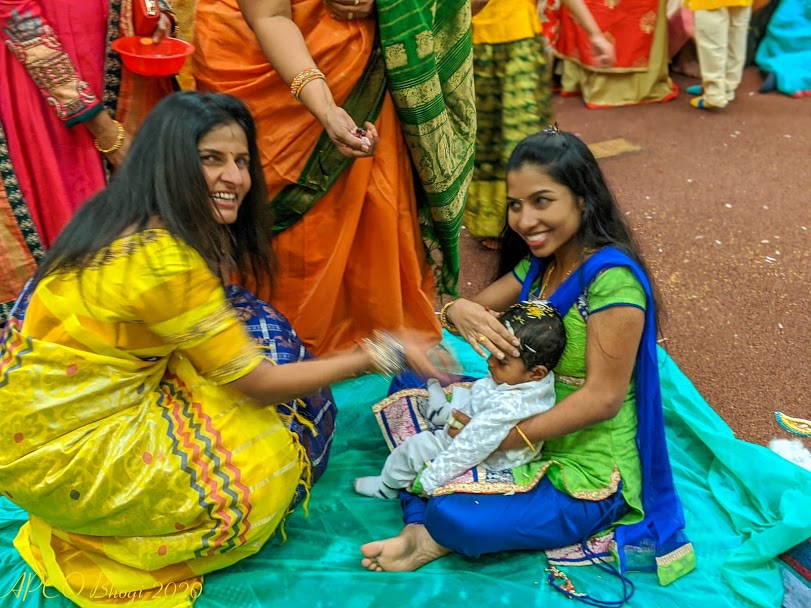 apcobhogi34.jpg