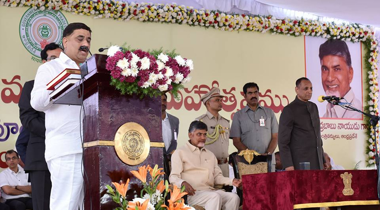 apnewcabinet7.jpg