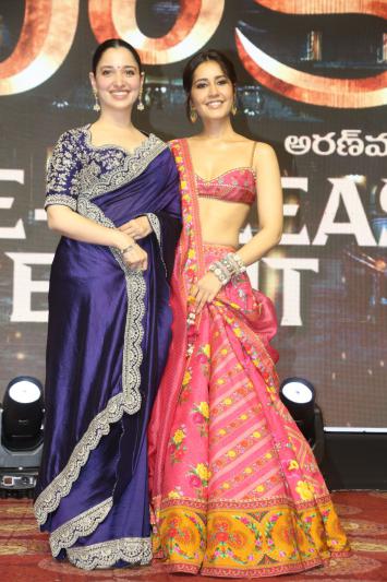 baak-movie-pre-release-6.jpg