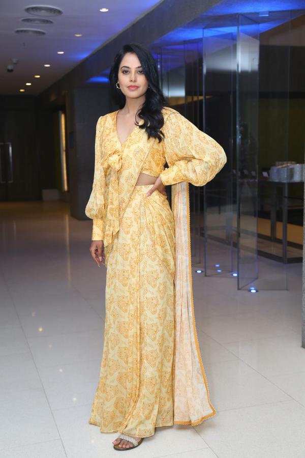 bindhu-madhavi-stills-2.jpg