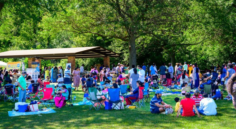 chicago-andhra-association-picnic-4.jpg