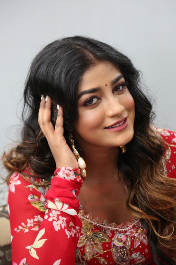 Dimple Hayati Photos