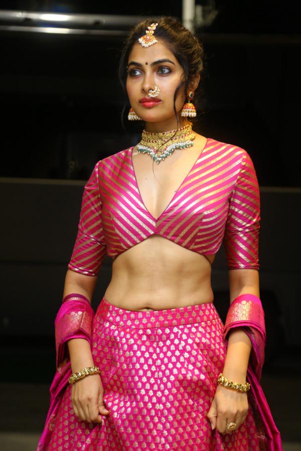 divi-stills-7.jpg