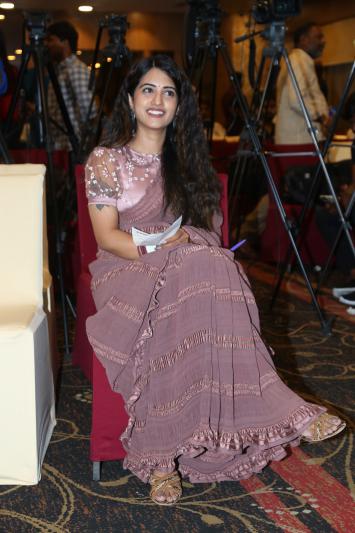 gurtunda-seetakaalm-movie-press-meet-3.jpg