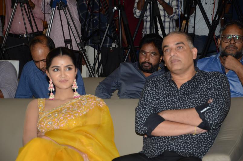 karthikeya-2-success-meet-6.jpg