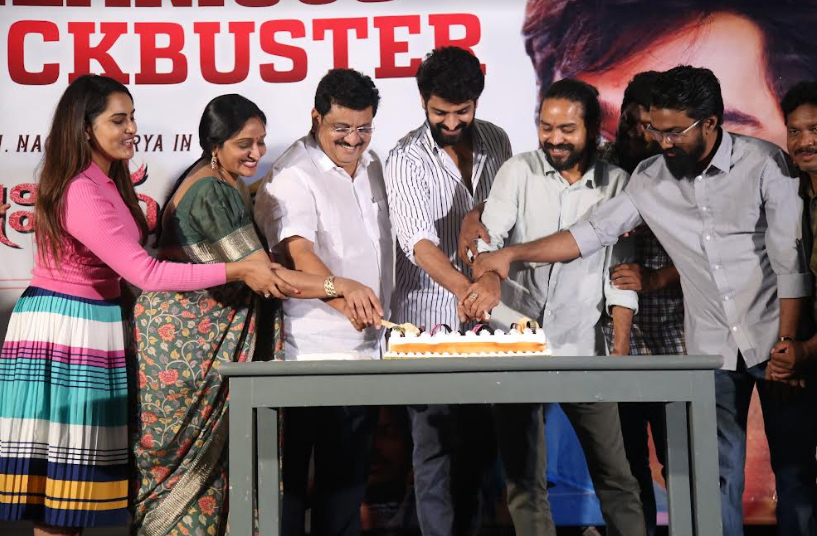krishna-vrinda-vihari-success-meet-3.jpg