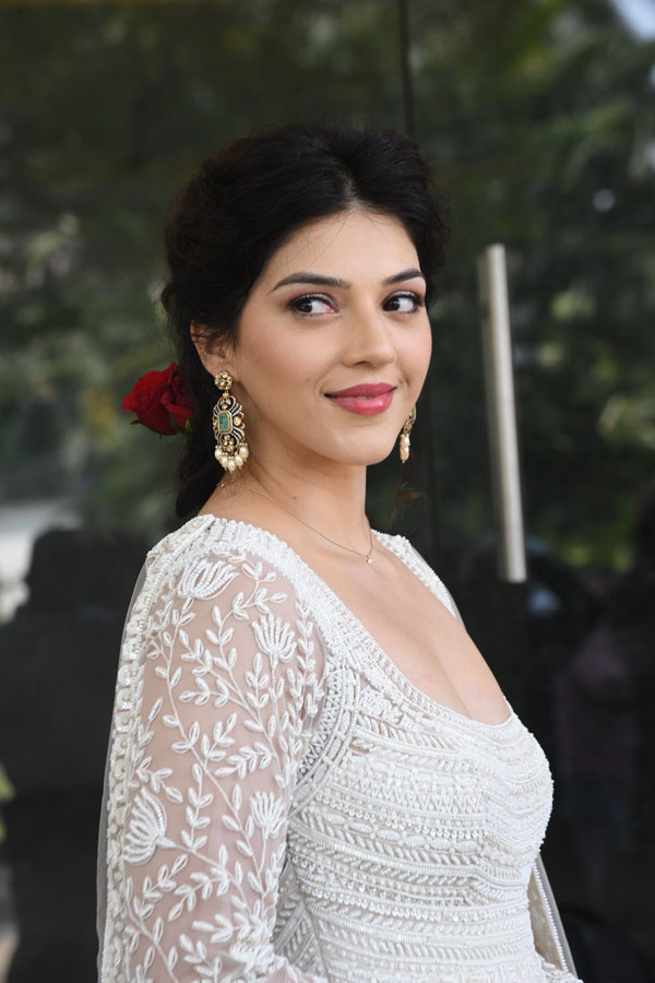 mehreen-pirzada-stills-5-25.jpg
