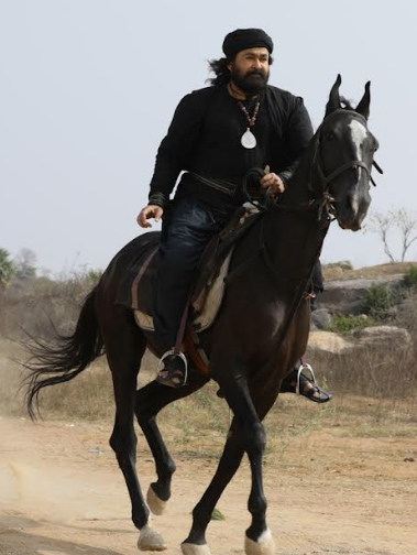 mohan-lal-stills-4.jpg