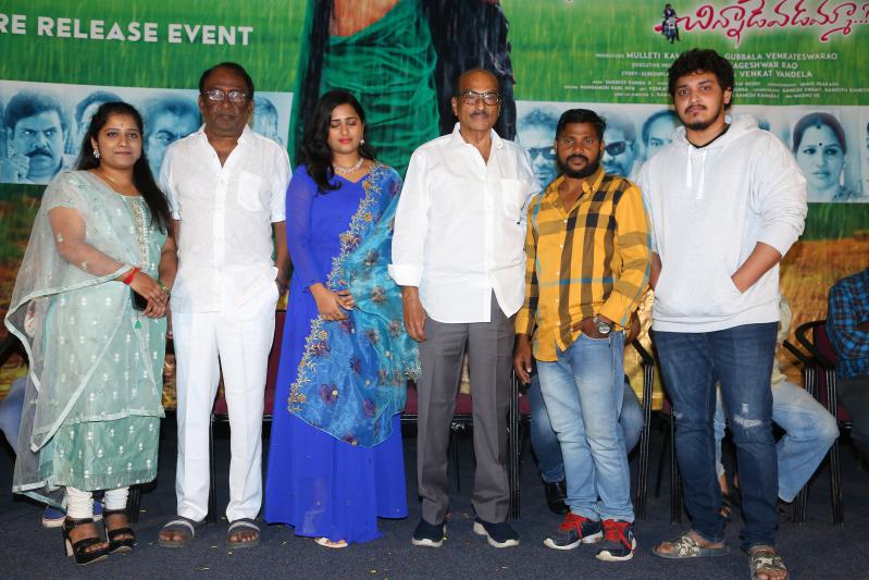 Naa Venta Paduthunna Chinnadevadamma Movie Press Meet