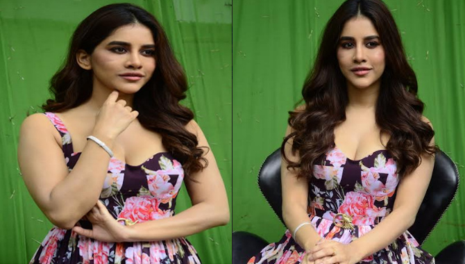 Nabha Natesh Stills