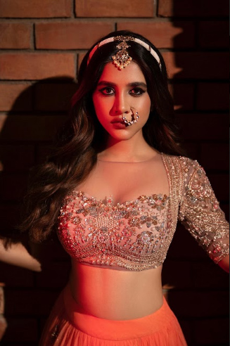 Nabha Natesh Stills