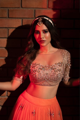 nabha-natesh-stills-3-6.jpg
