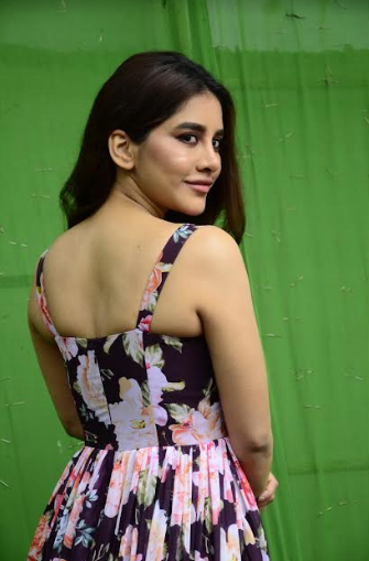 nabha-natesh-stills-5.jpg