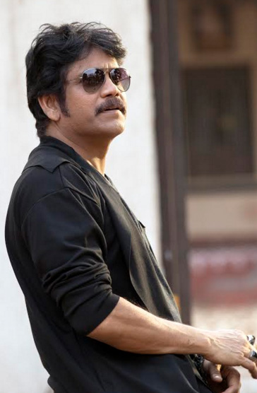 nag2.jpg