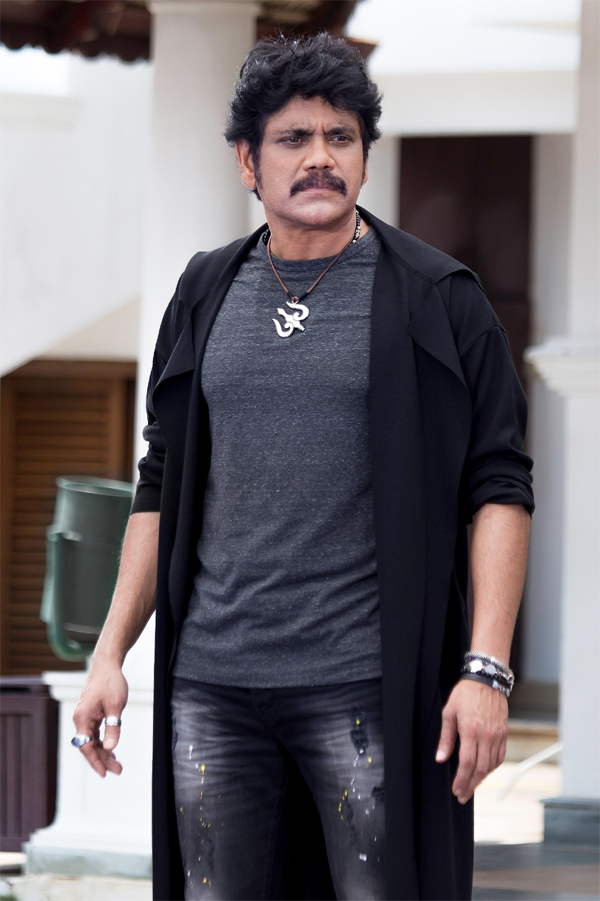 Nagarjuna Stills