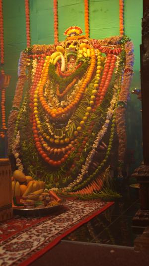 new-zealand-telangana-central-association-bonalu-celebrations-5.jpg